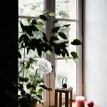 Le Moulin Des Forges 3* Sainte-Suzanne (Mayenne)