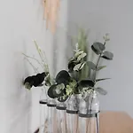 Le Moulin Des Forges Sainte-Suzanne (Mayenne)