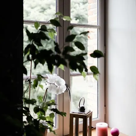 Le Moulin Des Forges 3* Sainte-Suzanne (Mayenne)