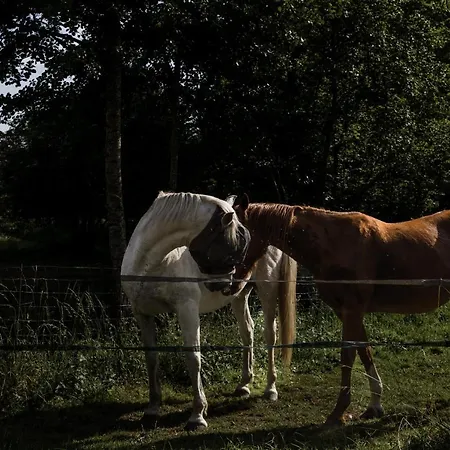 Le Moulin Des Forges 3*