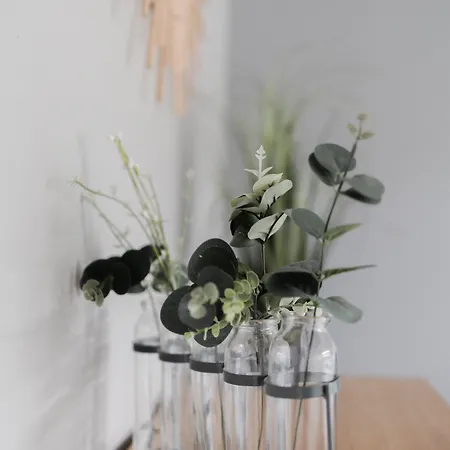 Le Moulin Des Forges Sainte-Suzanne (Mayenne)