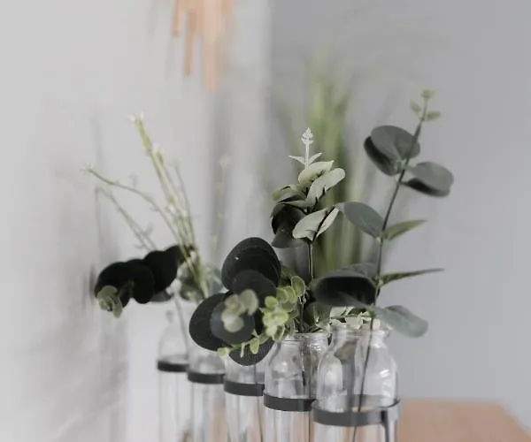 Le Moulin Des Forges 3* Sainte-Suzanne (Mayenne)