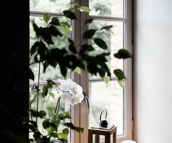 Le Moulin Des Forges 3* Sainte-Suzanne (Mayenne)