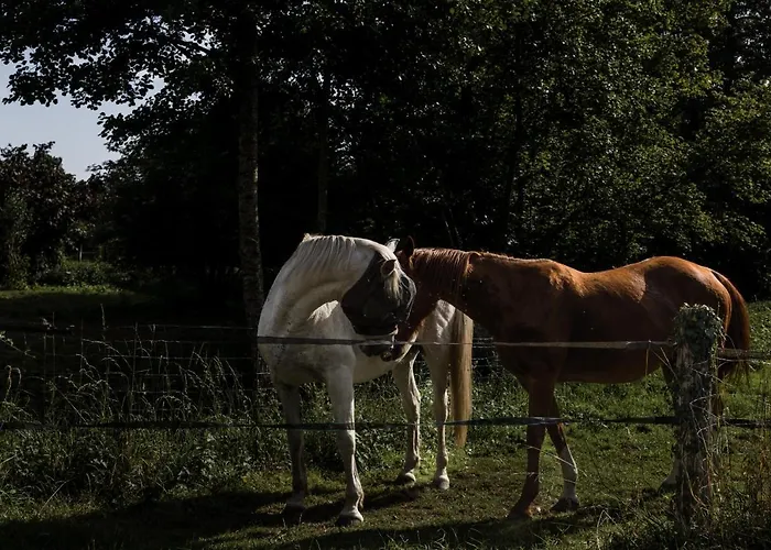 Le Moulin Des Forges 3*