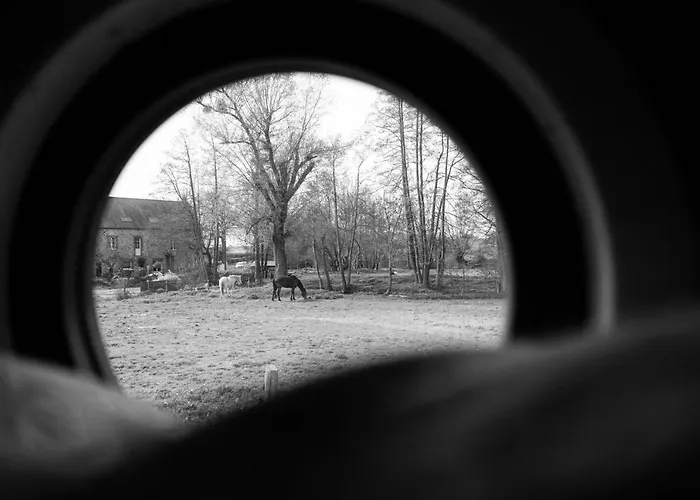Le Moulin Des Forges 3* Sainte-Suzanne (Mayenne)