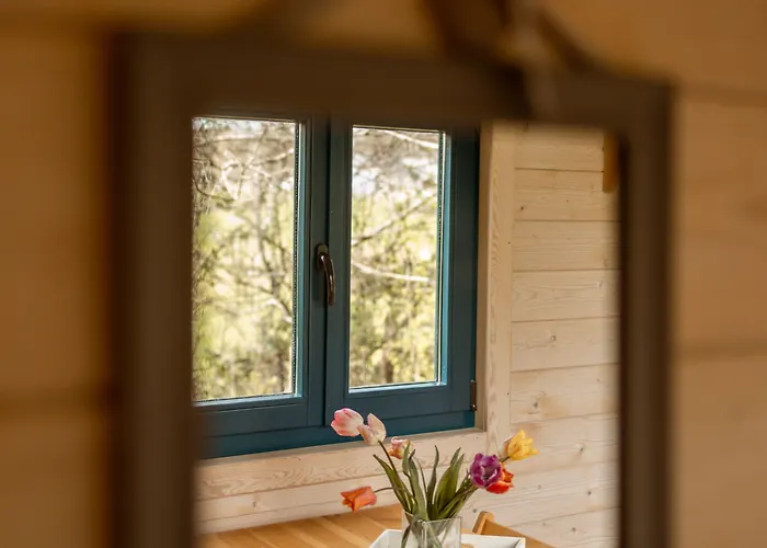 Guest house Le Moulin Des Forges Sainte-Suzanne (Mayenne)