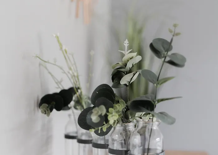 Le Moulin Des Forges Sainte-Suzanne (Mayenne)